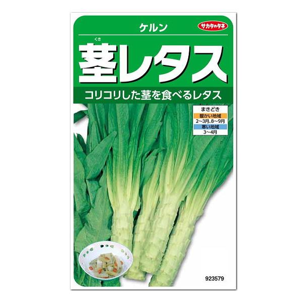 サカタのタネ 茎レタス ケルン 種 やまくらげ 茎チシャ 家庭菜園 レタスのタネ 野菜 たね メール便対応 Buyee Buyee Japanese Proxy Service Buy From Japan Bot Online