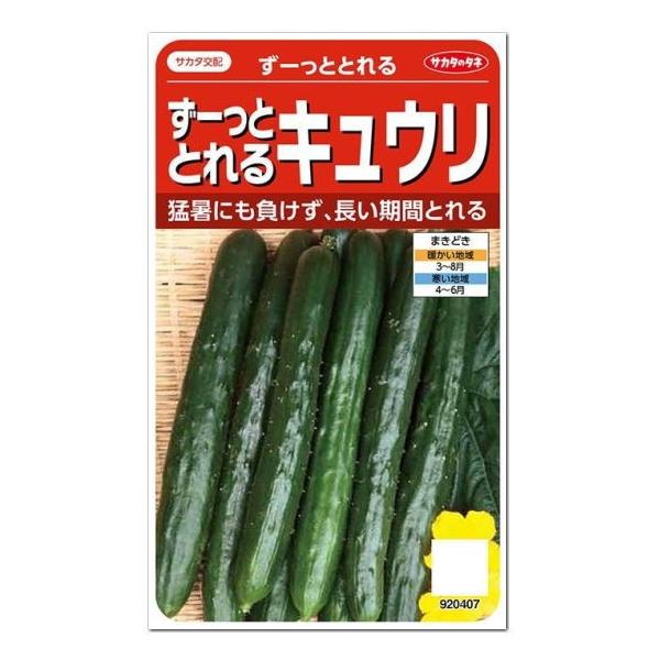 サカタのタネ  ずーっととれるキュウリ 種  家庭菜園 胡瓜 きゅうり タネ たね 種子 夏野菜