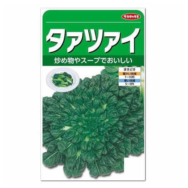 黒緑色の葉で寒さにとても強く、カリウム・カロテン・ビタミンCを多く含み、寒さに当たると甘みが増し味がよくなります。比較的簡単に育てることができます。煮物はもちろん、油で炒めると、色鮮やかになりカロテンの吸収率も高くなります。栄養価の高い緑黄...