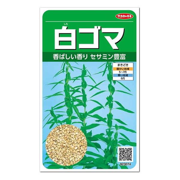 サカタのタネ 白ゴマ 種 家庭菜園 タネ ごまのたね 種子 野菜 リノール酸 オレイン酸 ビタミンe 免疫力アップ 機能 健康食品 Z28 10 菜園ライフ 通販 Yahoo ショッピング