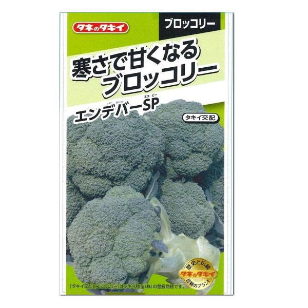タキイ交配　ブロッコリー　エンデバーSP　ペレットL5000粒 ブロッコリー】エンデバーSP〔タキイ交配〕 | 野菜・草花の種苗