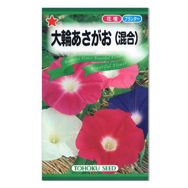 トーホク 大輪あさがお 混合 種 花壇 プランター 朝顔 エコ アサガオのたね 種子 グリーンカーテン 緑のカーテン 小学校教材 花 メール便対応 Z57 10 菜園ライフ 通販 Yahoo ショッピング