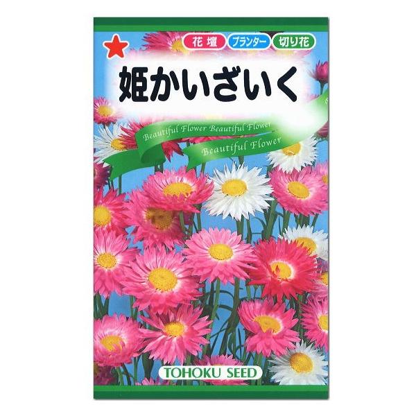 トーホク 姫かいざいく 種 一年草 花壇 プランター 切花 たね 花かんざし 貝細工 メール便対応 Z57 10 菜園ライフ 通販 Yahoo ショッピング