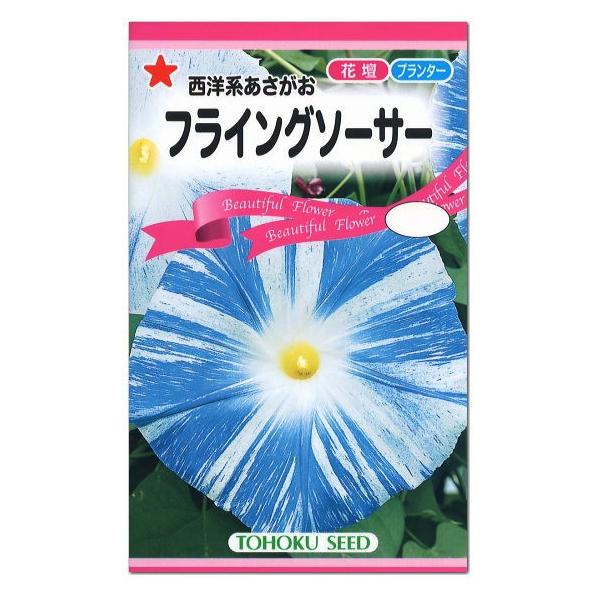 トーホク 西洋系あさがお フライングソーサー 種 花壇 プランター あさがお 緑のカーテン エコ アサガオのたね 種子 ガーデニング 朝顔 メール便対応 Z57 10 000 菜園ライフ 通販 Yahoo ショッピング