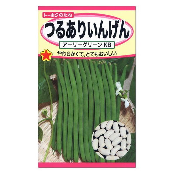 年中無休 トーホク 大納言 小豆 種 生産地：北海道 家庭菜園 あずきのタネ たね 種子 アズキ メール便対応