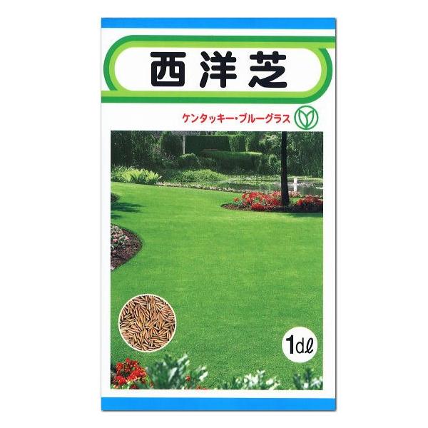 ケンタッキー ブルーグラス みんな探してる人気モノ ケンタッキー ブルーグラス