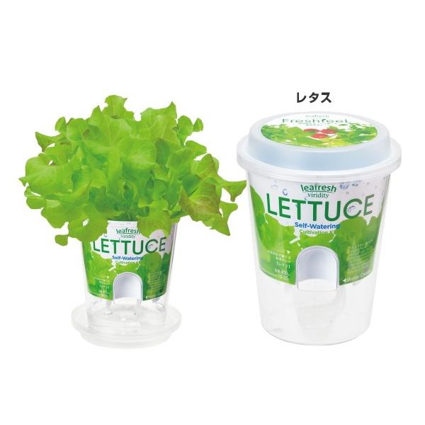 お洒落な野菜栽培キット フレッシュフィール 選べる6種類 インテリアグリーン おしゃれ かわいい 家庭菜園 栽培セット Buyee Buyee Japanese Proxy Service Buy From Japan Bot Online