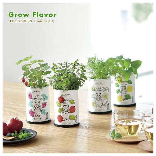 フレーバーティーを手にした可愛いネコが描かれたパッケージがそのまま栽培ポットになるハーブ栽培セットです。水をあげるとカワイイ芽が出てスクスク成長します。香り豊かな４種類のハーブの中からお好みのハーブをお選びください。サイズ：幅10.3cm×...