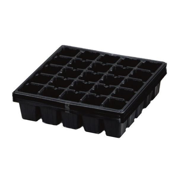 均一に種をまくことができる、育苗に便利なセルボックス（セルトレー）です。水やりや害虫対策などの管理も効率的にできます。当社でも、夏の果菜類などは、こちらのセルボックスで発芽させ、優秀な苗を9ｃｍポットに移し、育苗して菜園に定植しております。...