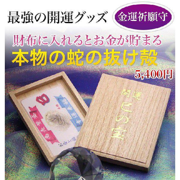 金運UP蛇の抜け殻