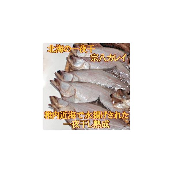 一夜干　宗八ガレイ 2〜3枚入