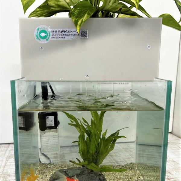 送料無料 せせらぎ室内ビオトープ 型 8ｌ 基本水槽セット 金魚や熱帯魚の水槽にピッタリ 観葉植物が水をキレイにします Buyee Buyee 日本の通販商品 オークションの代理入札 代理購入