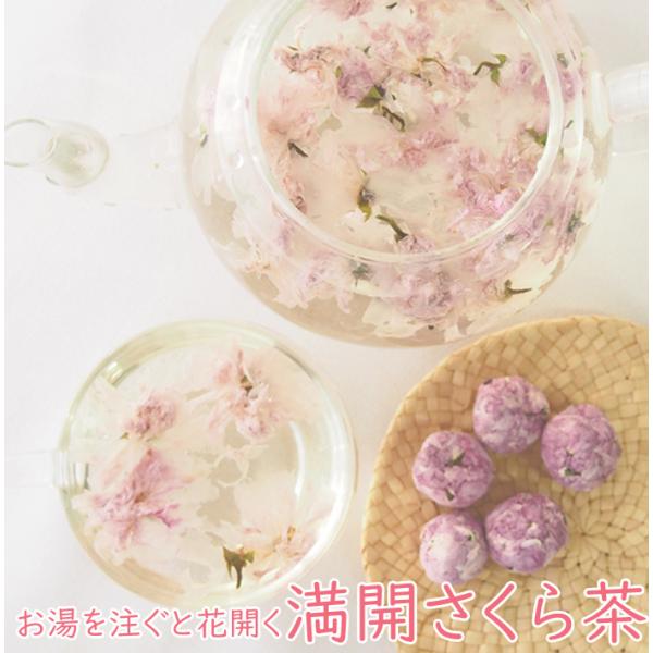 満開さくら茶5個 桜 桜茶 花茶 フラワーティー 工芸茶 合格祈願 合格祝い 春 桜湯 サクラ お花見 サプライズ ノンカフェイン商品名：満開さくら茶5個入り　原材料：桜花　原産国：中国　※常温で保存しますと、お花の退色致しますので、冷蔵保...