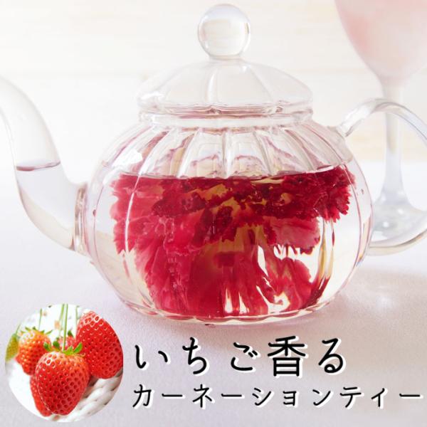 袋を開くだけで、たちまち苺畑にいる気分に！ほんのり甘いストロベリーティーに仕上がりました。原材料：カーネーション（中国）、香料（日本）内容量：茶葉10g　賞味期限：出荷から365日以上の商品をお届け