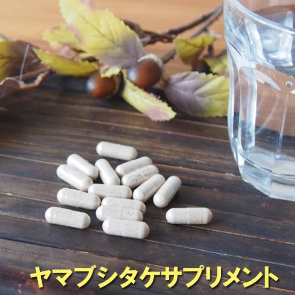 ヤマブシタケサプリメント60粒(約2ヶ月分) 高濃度エキス配合 脳活