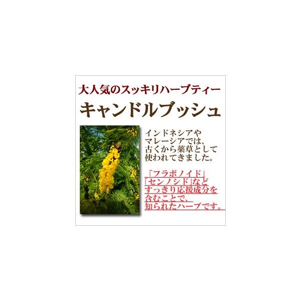 キャンドルブッシュ ハーブティー ゴールデンキャンドル ノンカフェイン Buyee Buyee Japanese Proxy Service Buy From Japan Bot Online