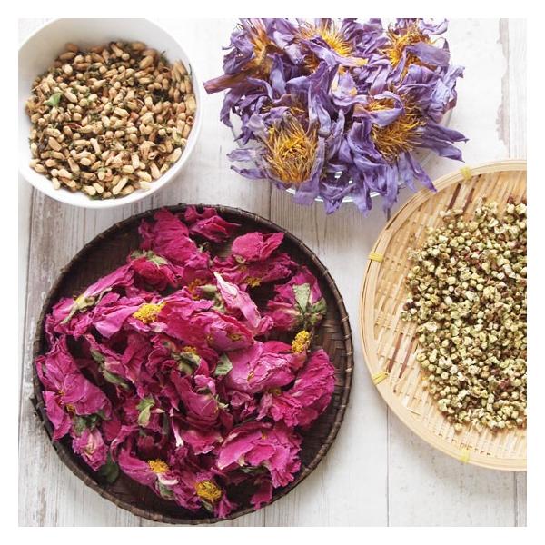 IׂԒ @ ~  O e  ؍ @c hCt[ n[u mJtFC 