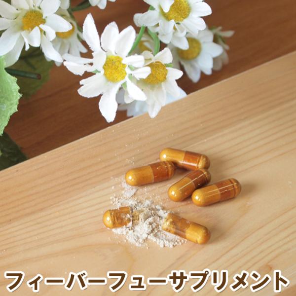 ズキズキさんのサプリメント30粒　ノンカフェイン ナツシラギク 夏白菊 パルテノライド ハーブティー ズキズキ