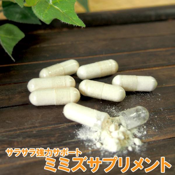 ミミズサプリメント30粒 乾燥ミミズ粉末 赤ミミズ サラサラ ルンブロキナーゼ LR末 ルンブルクスルベルス末 赤ミミズ酵素 血液 サプリ 動物性エキスサラサラサポートパワーで注目の赤ミミズ(ルンブルクスルベルス)の粉末をサプリにしました。...