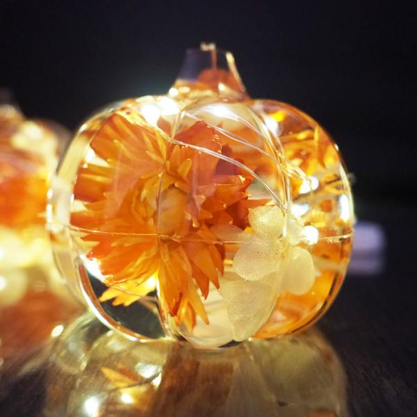 【商品仕様】イルミネーションハーバリウム1個 │ 色温度：電球色2700-2900K │ 使用電池：CR2023ボタン電池2個 │ 防水：銅線ライト部分IP65防水/電池ケース防水性なし │ CR2023ボタン電池ｘ2（ライトに2個セット済...