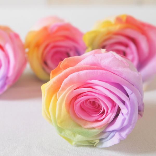 プリザーブドフラワー 虹色の人気商品 通販 価格比較 価格 Com