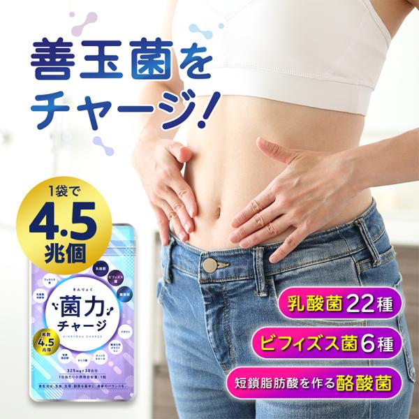 ＼生きた乳酸菌16種、生きたビフィズス菌4種、生きた酪酸菌1種／1袋で4.5兆個と驚きの菌数！【菌力チャージ】は和の乳酸菌である日本人と相性が良い植物性乳酸菌、ミネラクト乳酸菌とさくら乳酸菌を配合！体内フローラを手軽にサポート！【菌力チャー...