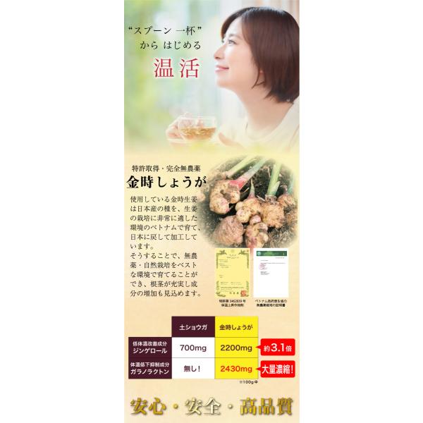 本草金時生姜 40g 契約農家栽培 金時生姜末100 無農薬