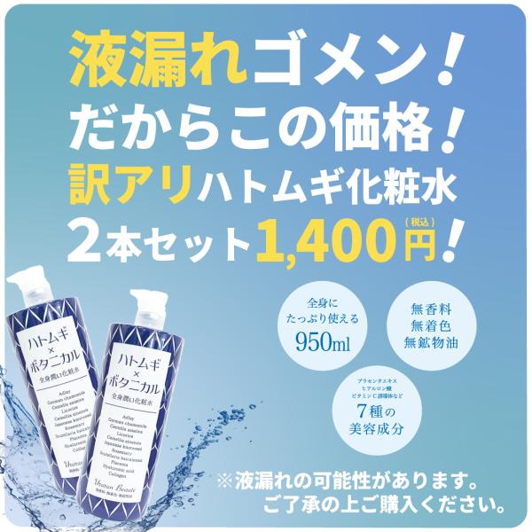 ハトムギとボタニカルのエキス高配合 お得な950ml入り大容量全身潤い化粧水 Ururun Beaute ハトムギ ボタニカル化粧水登場 送料無料 Ururun Lotion Saint Labo Shop 通販 Yahoo ショッピング