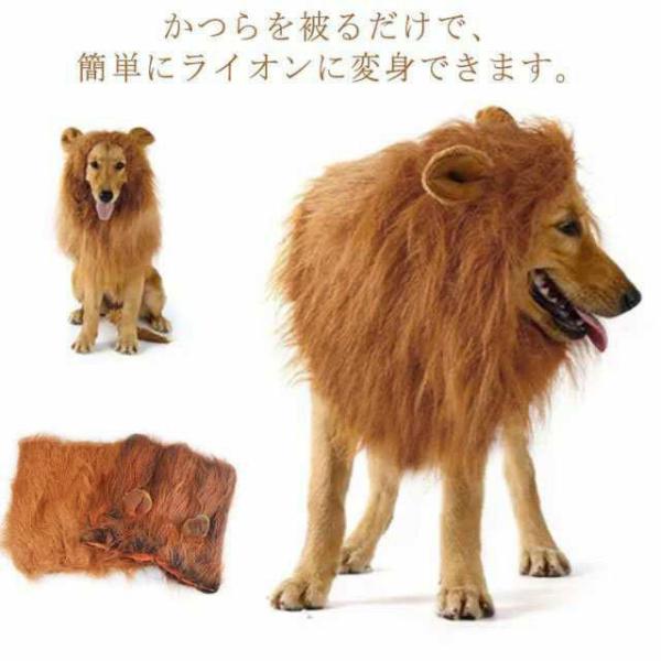 犬 ライオン 獅子 仮装 ウィッグ カツラ かぶりもの 犬服 ペット用 ハロウィン コスプレ コスチューム 衣装 変装 帽子 被り物 仮装 グッズ お