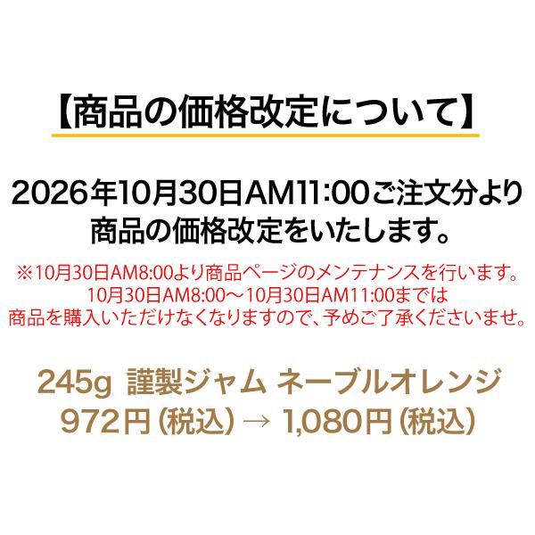 �Z�]���t�@�N�g���[ �ސ��W���� �l�[�u���I�����W 245g ���i�摜2