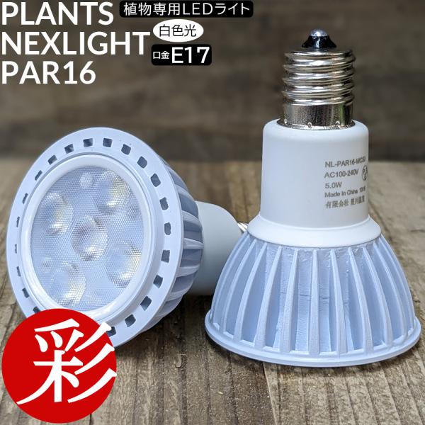 1台現品 塗装前完成品 ミニ植物棚 ライト特別使用。電源用ライト