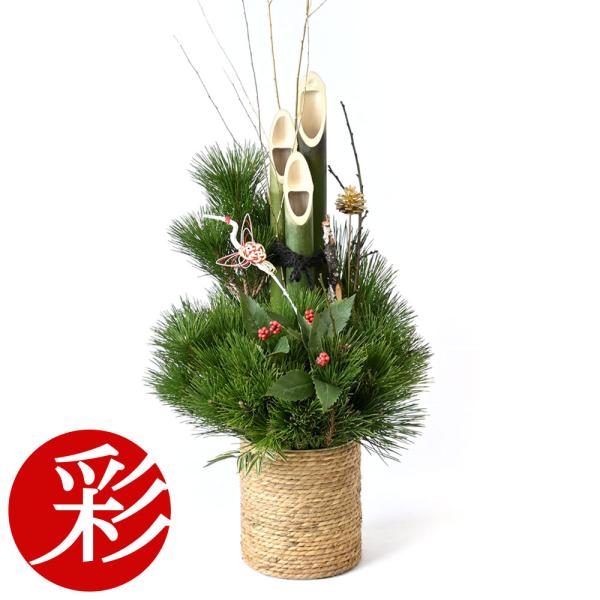 saisyokukenbi_k11001