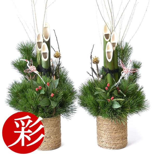 saisyokukenbi_k20001