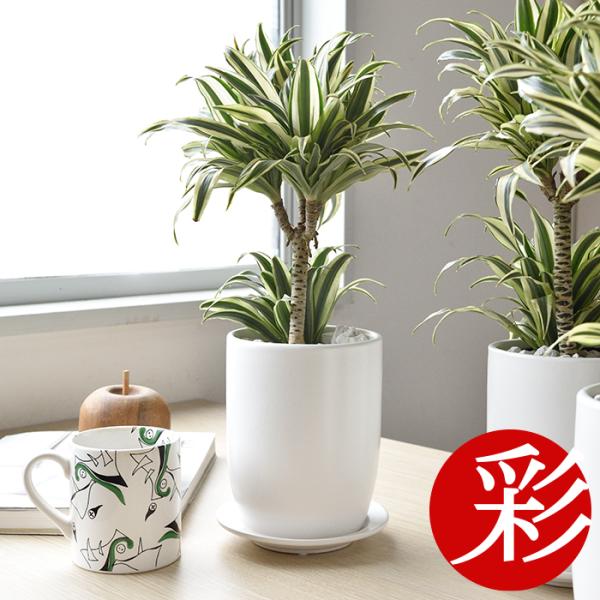 ~j ϗtA { hZiE` }bgzCg V[g|bg     ^ 