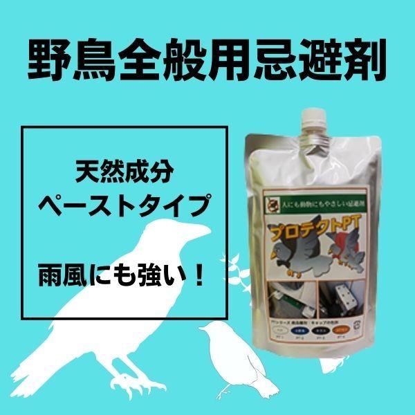 野鳥用忌避剤PT-2　ペースト　天然成分　500g　鳥よけ