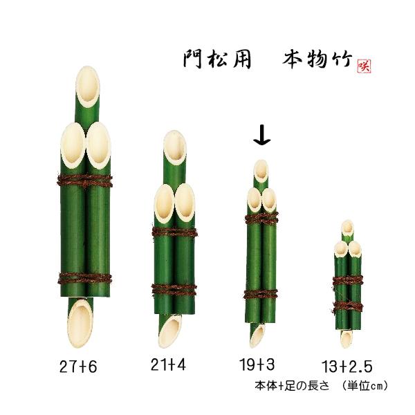 お正月アレンジの定番、門松用の3本組竹の突起付きタイプです。手作りでの門松フラワーアレンジの際にお役立ていただけます。本物の竹の表面を着色したもので、長く青々しい色を楽しむことができます。 竹と竹がグルーで固定されていますのでバラバラになる...