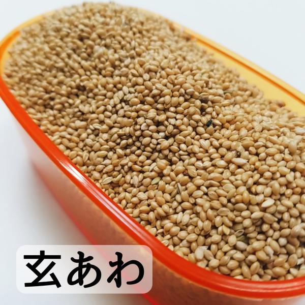 ＝＝卸売りから直接お客様へ一直線に＝＝・製造直売だからこそできるこの価格！！・保存に便利なチャック袋入り！！・簡易パッケージで低価格を追求！！・飼料用です※仕入れロットにより実物とは色味,形が異なる場合が御座いますあわ アワ 粟 玄粟 雑穀...