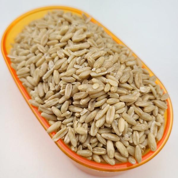 ・製造直売だからこそできるこの価格！！・保存に便利なチャック袋入り！・簡易パッケージで低価格を追求！・飼料用の商品です皮無し燕麦 ムキえんばく インコおやつ