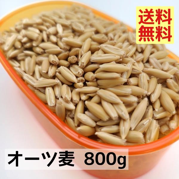 ・製造直売だからこそできるこの価格！！・保存に便利なチャック袋入り！・簡易パッケージで低価格を追求！・飼料用の商品です燕麦 えんばく インコおやつ