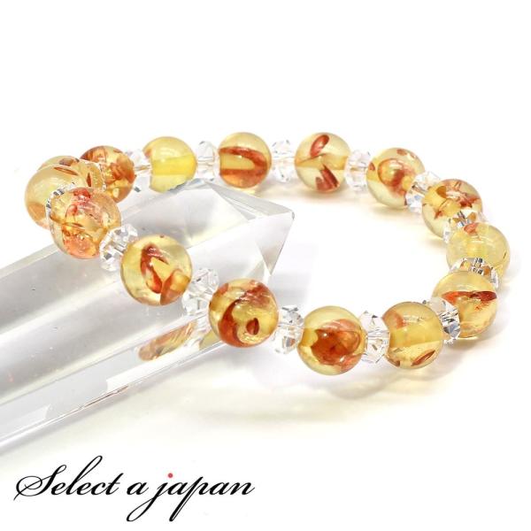  ij Ao[ uXbg p[Xg[ uXbg Y fB[X 