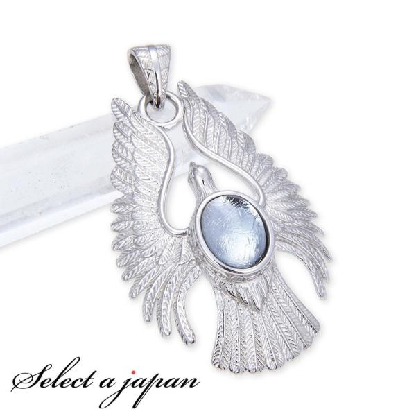 ギベオン ペンダントトップ 鳥 バード シルバー 隕石 シルバー925