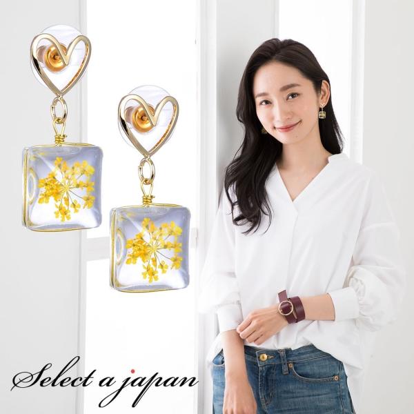 sAX fB[X   XNGA n[g lp WG[ ANZT[ Vv JWA l |Cg p