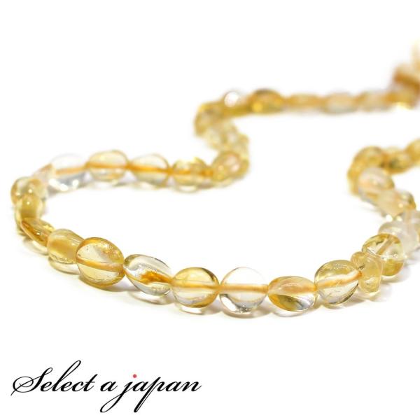 Vg   1A 40cm p[Xg[ o VR p[Xg[ A r[Y ΂甄