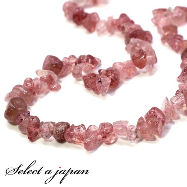 Xgx[NH[c   1A 40cm p[Xg[ o VR p[Xg[ A r[Y ΂甄