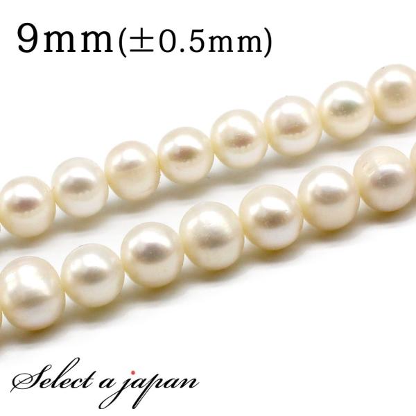 u1A 15cmv Wp[ 9mm ^ p[ o A r[Y  ΂甄