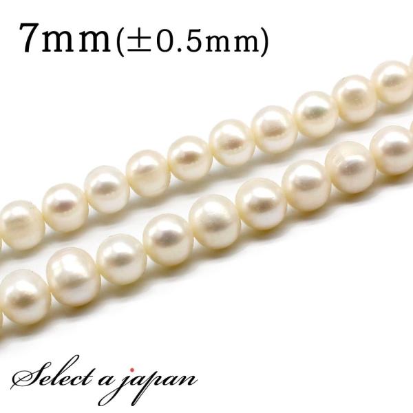 u1A 15cmv Wp[ 7mm ^ p[ o A r[Y  ΂甄