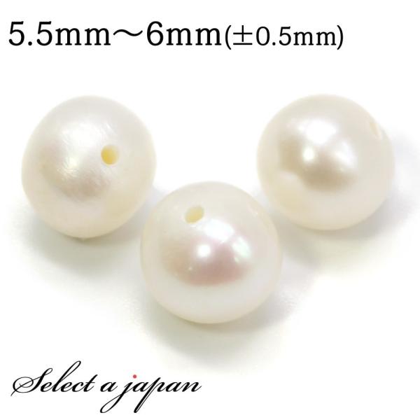 3 Z~Ehp[ 5.5mm×6mm ^ Wp[ o ΂甄 r[Y  ʔ