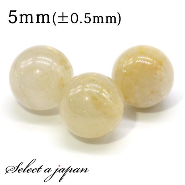 1 S[h`NH[c 5mm p[Xg[ o VR p[Xg[ ΂甄 r[Y  1ʔ