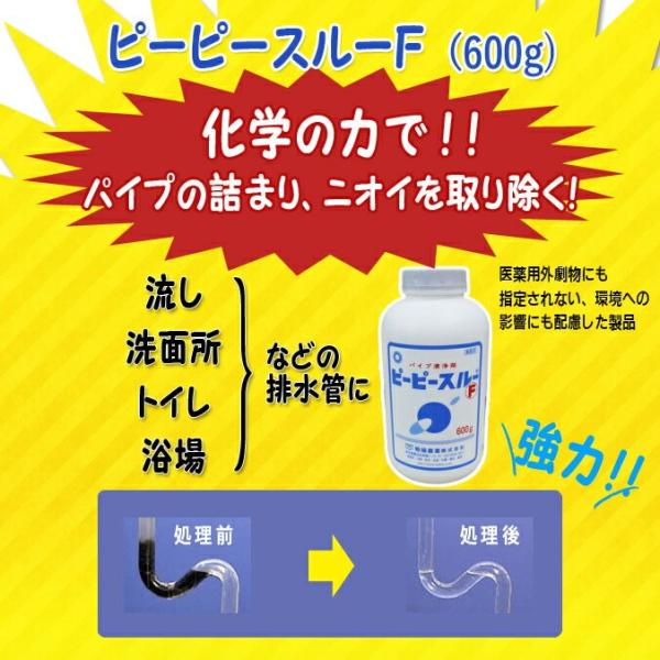 排水管洗浄剤 業務用 ピーピースルーＦ 和協産業 600g オフィス レストラン 店舗 商業 病院