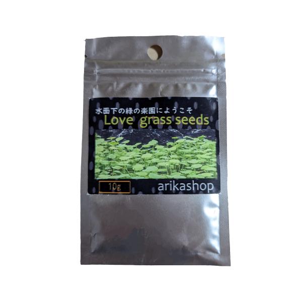 水草の種 Love grass seeds 〈ラブグラスシード〉10g アクアリウム 水草絨毯 熱帯魚